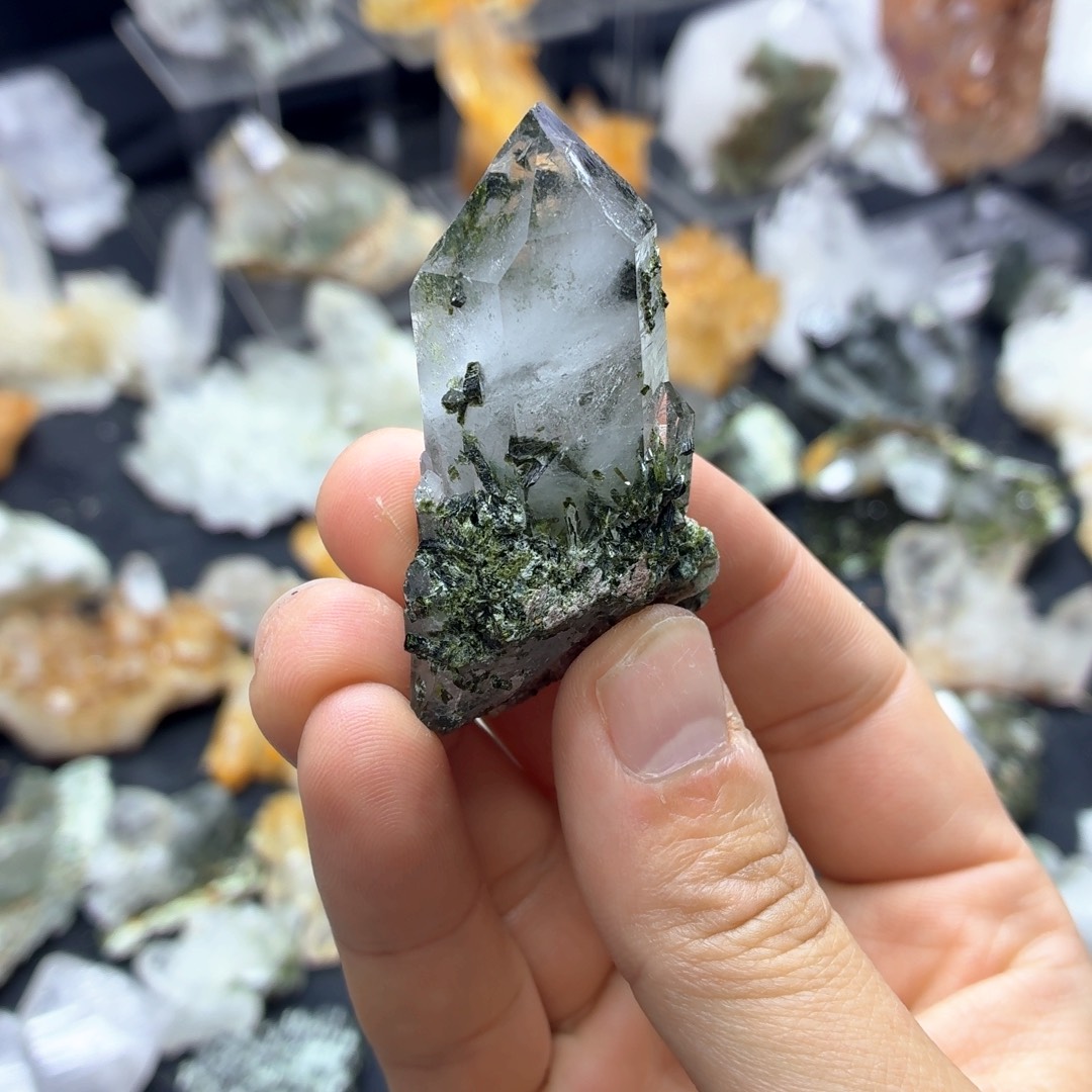 石材西尔芙的森林