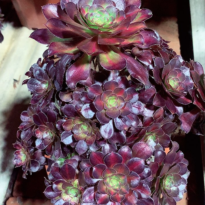 晚霞啊啊啊啊啊啊啊啊