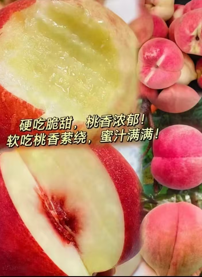 正宗云南应季高山老树冬桃现摘现发脆甜多汁树上熟桃子脆甜yay