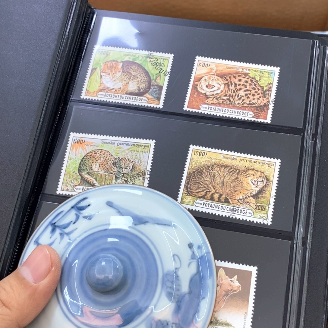 瓷片哈哈哈哈哈哈哈哈哈哈哈哈