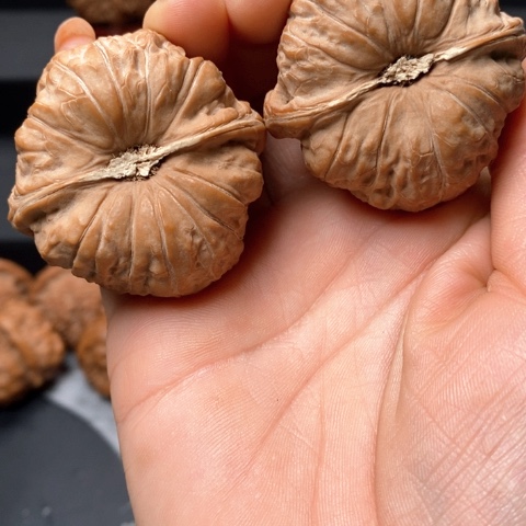 文玩核桃全品南瓜尺45