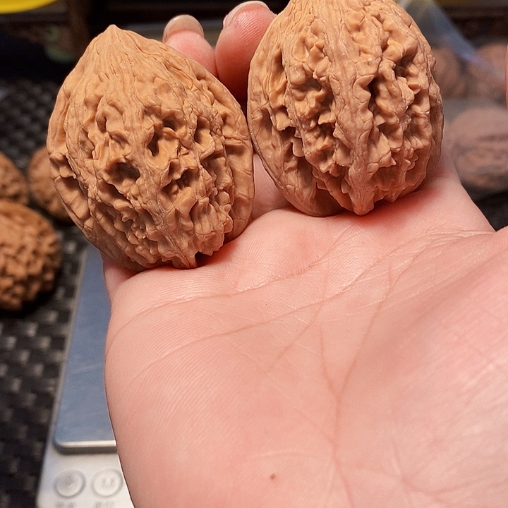 吊坠文玩核桃大沽石，边41.全品无瑕疵