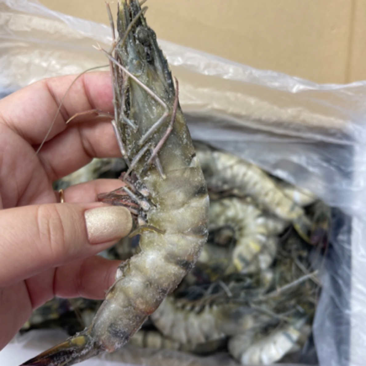 添好运黑虎虾2斤装礼盒