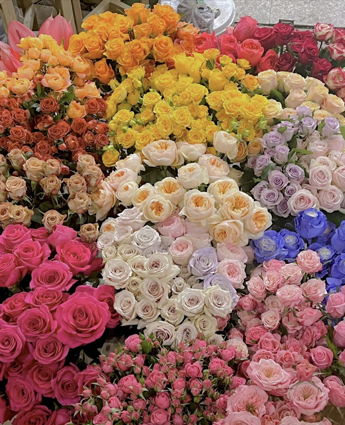 【九里花田】百合+玫瑰盒子任意2束-基地直发-一单普通快递2单顺丰