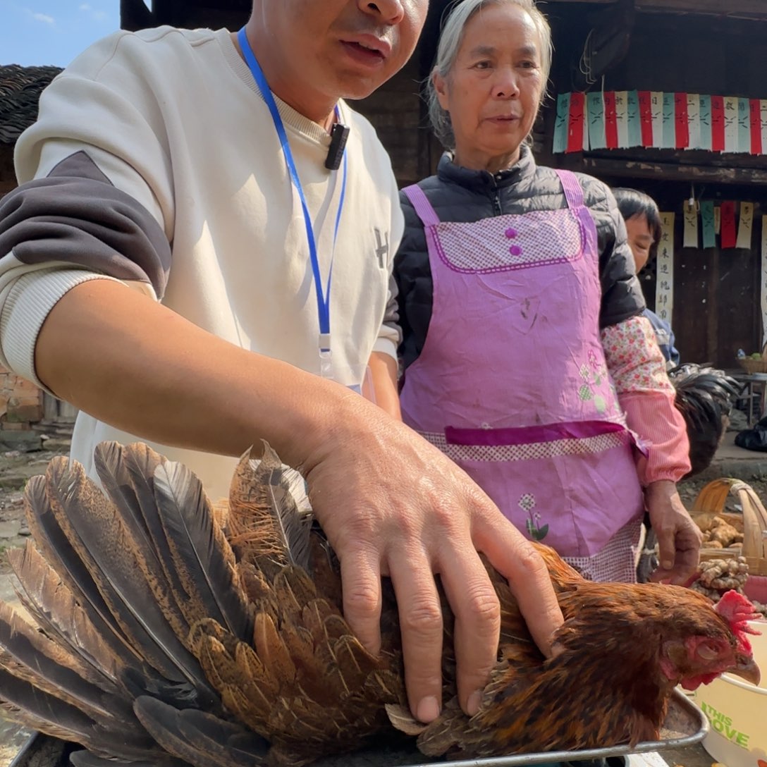 包装中国大陆2681…..