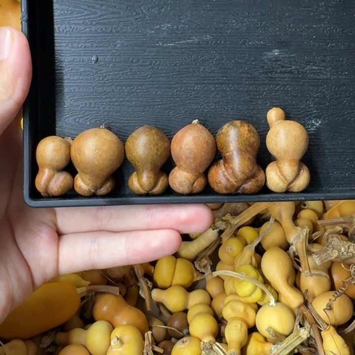 葫芦葫芦葫芦可拆