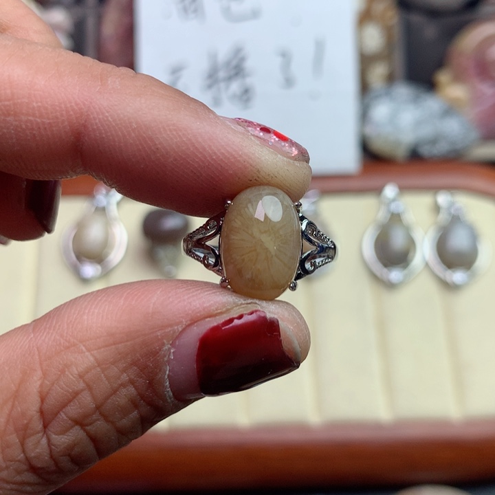 硅化珊瑚（珊瑚玉）颈饰未镶嵌