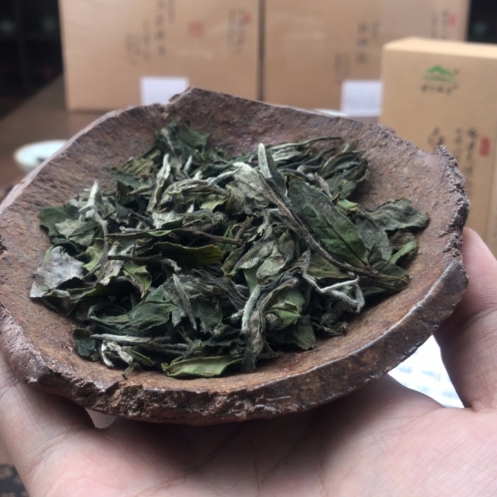 杯方守龙10泡福利分享50g
