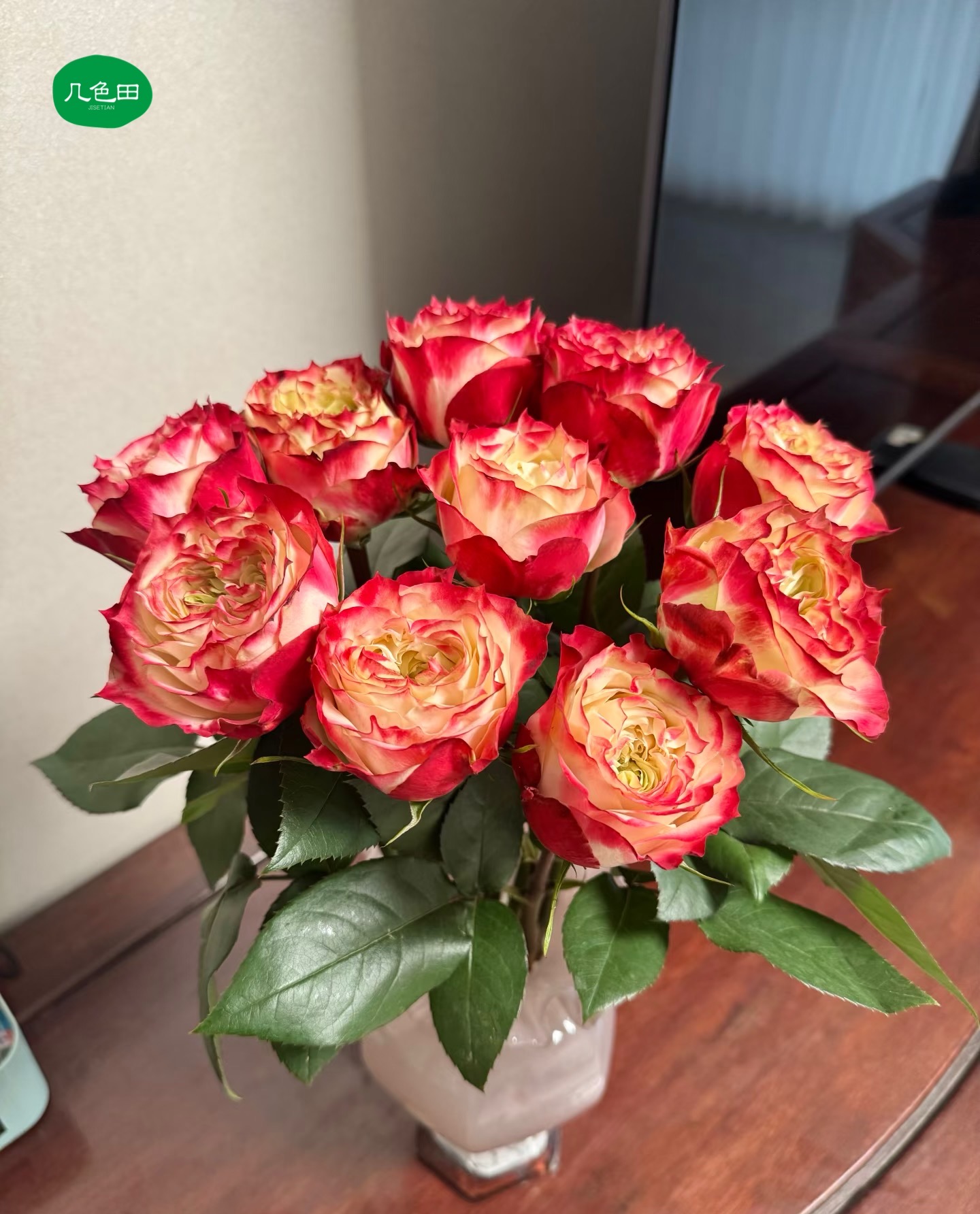 AA苹果杰克—单头玫瑰云南直发鲜花云南花插花鲜花