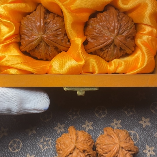 张*年白狮子11111111