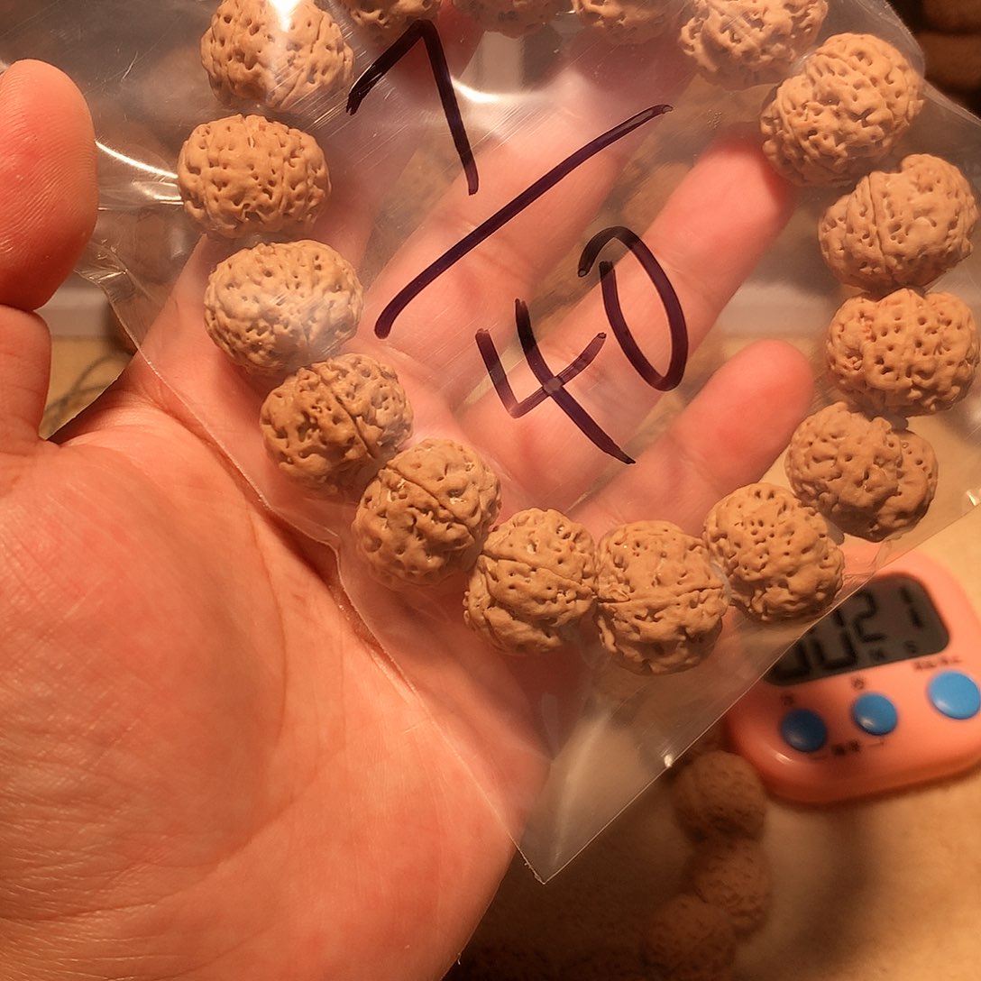 金刚菩提吊坠王*仙7。        