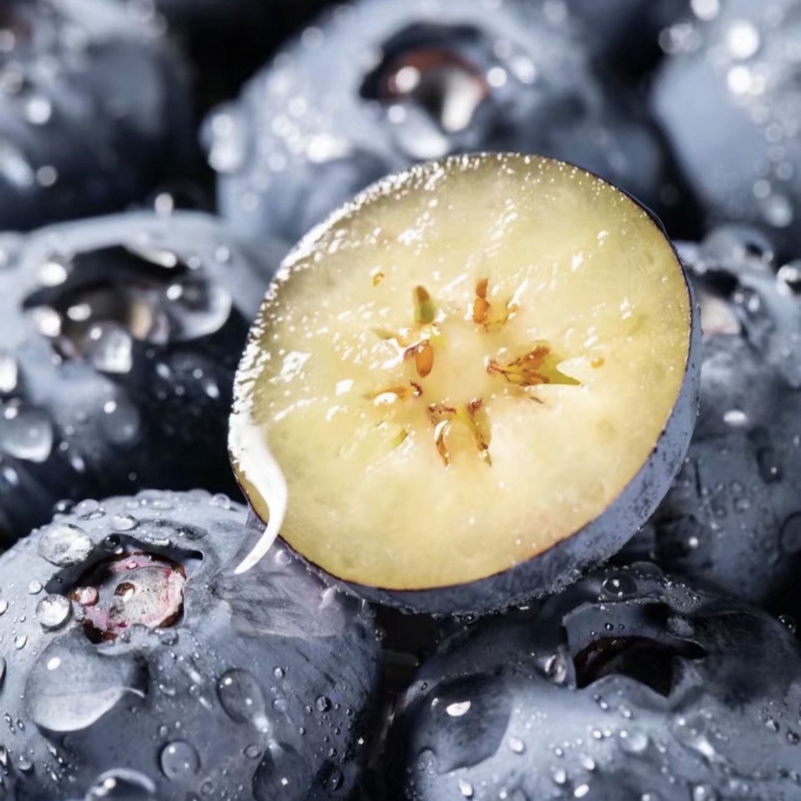 佳沃蓝莓14mm两盒250新鲜安徽省