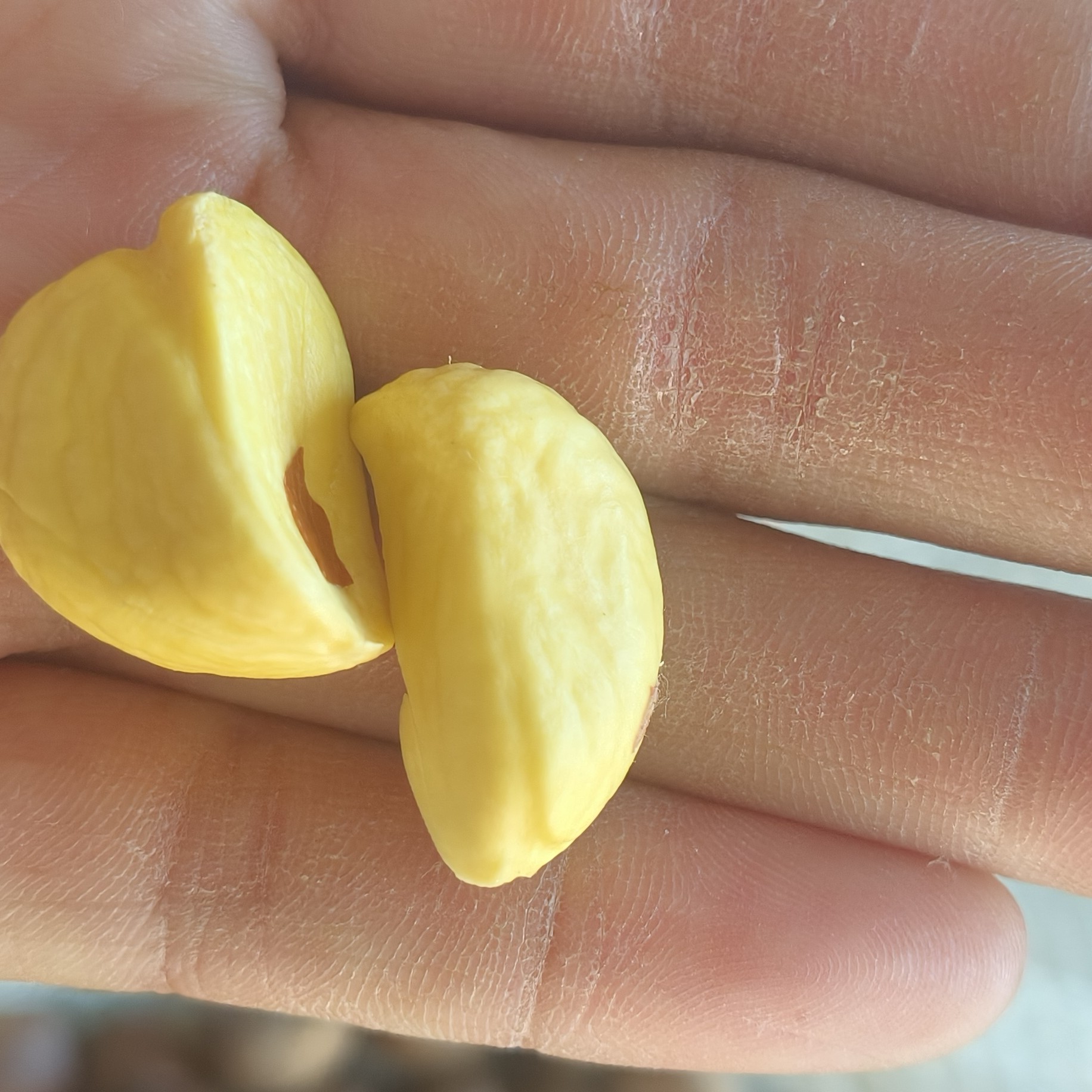 新鲜云南高山老树红壳生板栗香甜可口