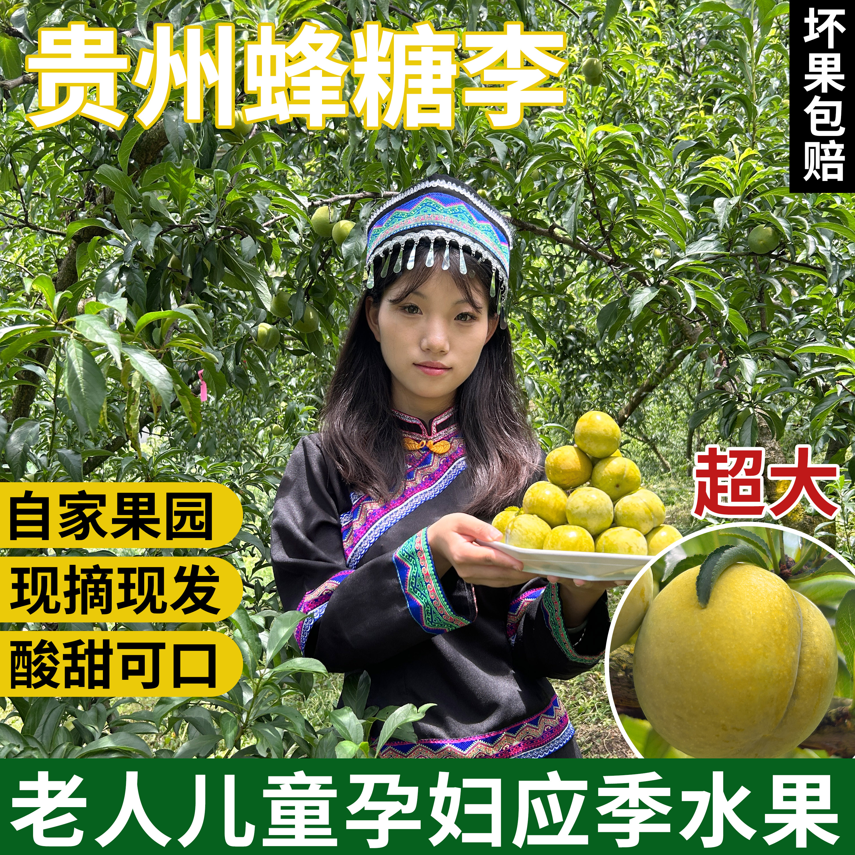 脆甜多汁镇宁六马蜂糖李现摘现发鲜果李子新鲜水果土李子送礼水果