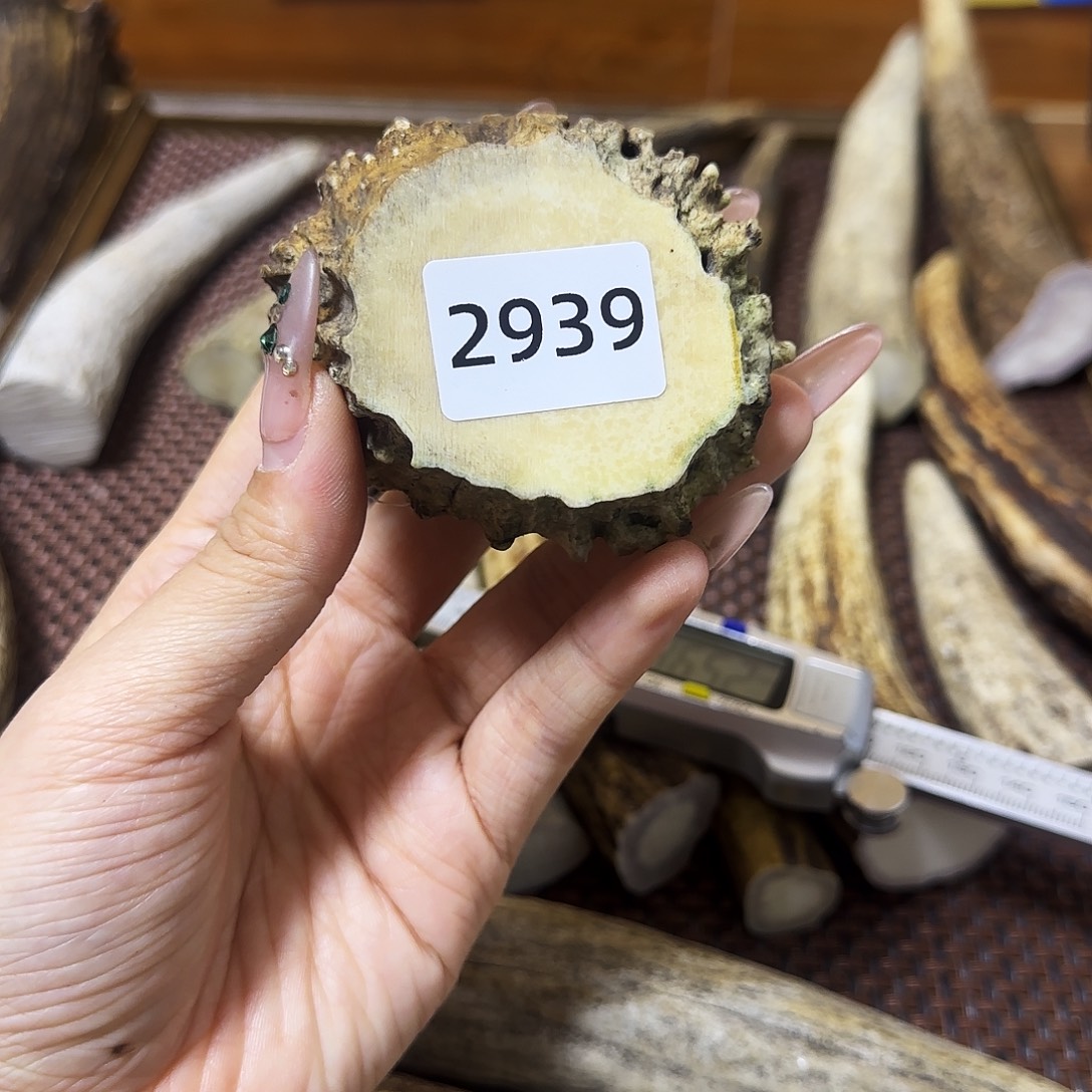 手串/手链鹿骨2939角帽