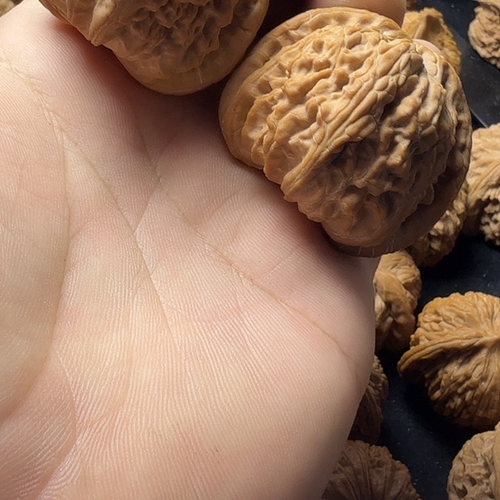 【***下45精卡精配白狮子