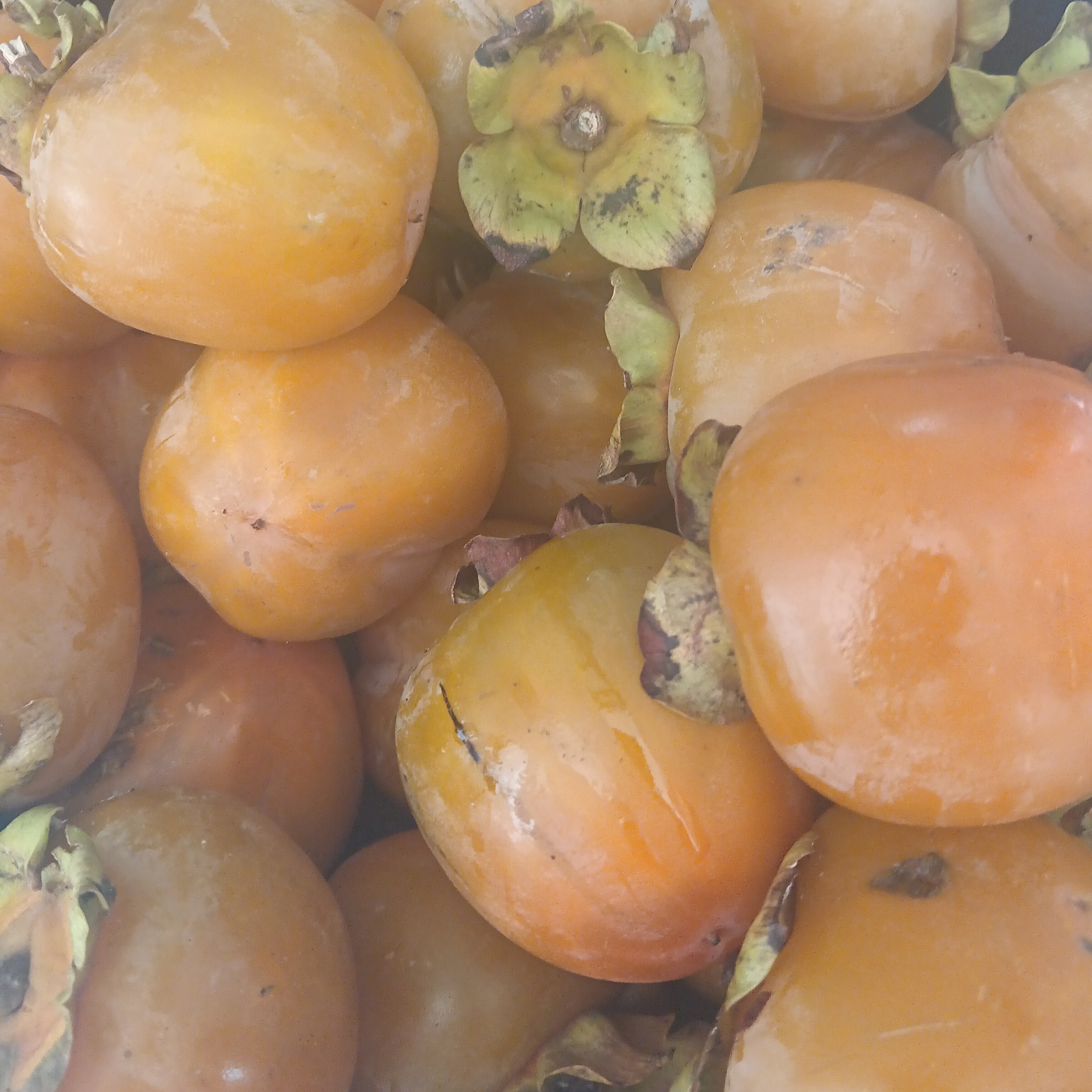 云南大山里的特产山货合集