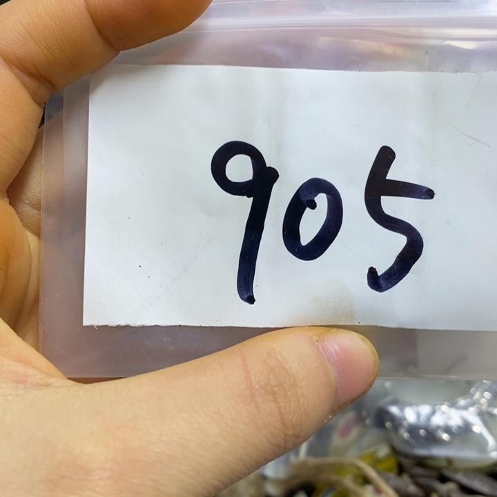 *****五六七文玩专属连接