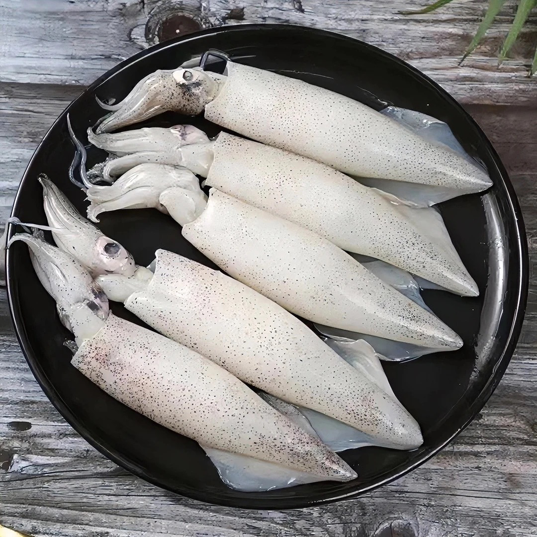 野生海捕笔管鱼（笔管）籽呜公母混发顺丰包邮