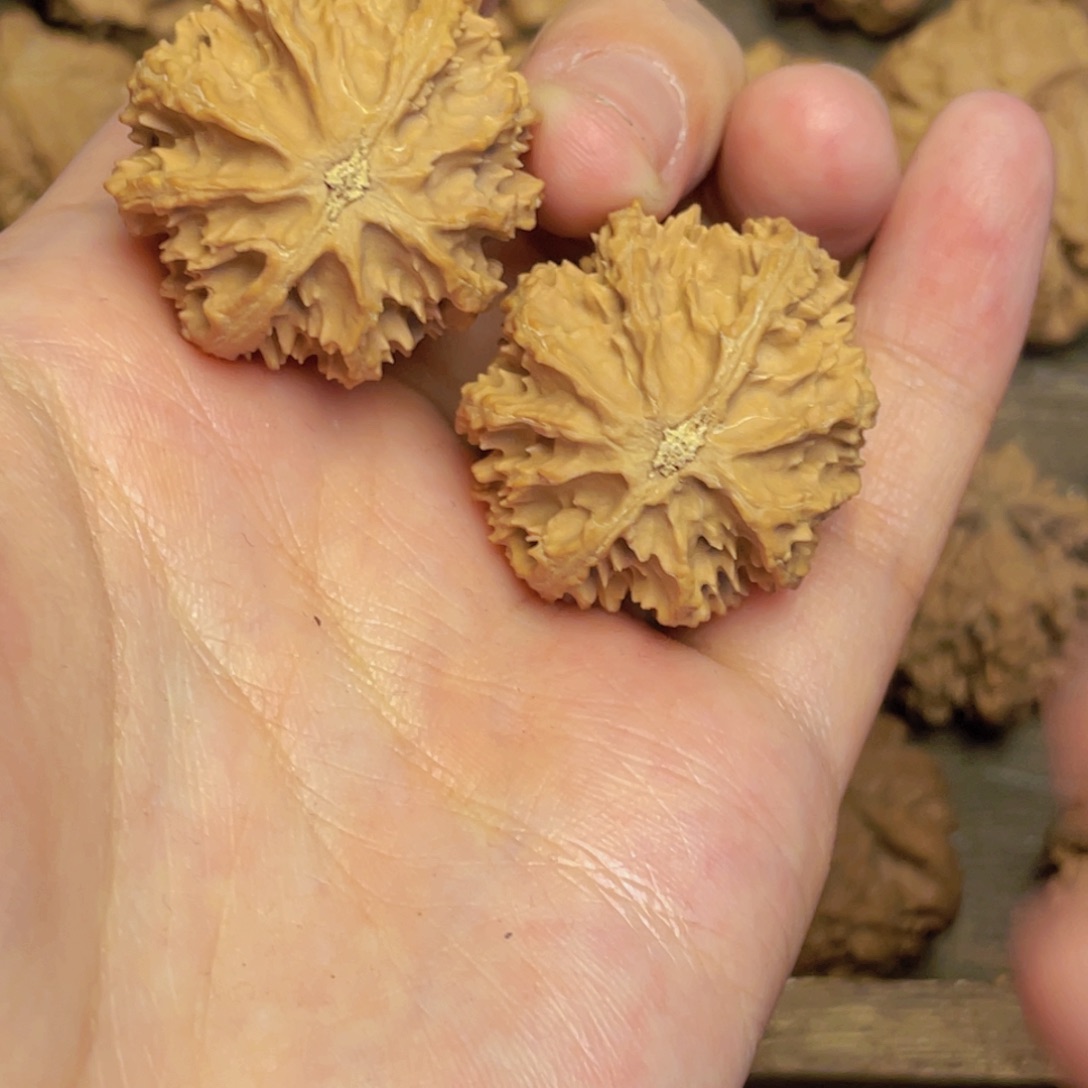 文玩核桃吊坠啊*9秦岭灯笼野生小众