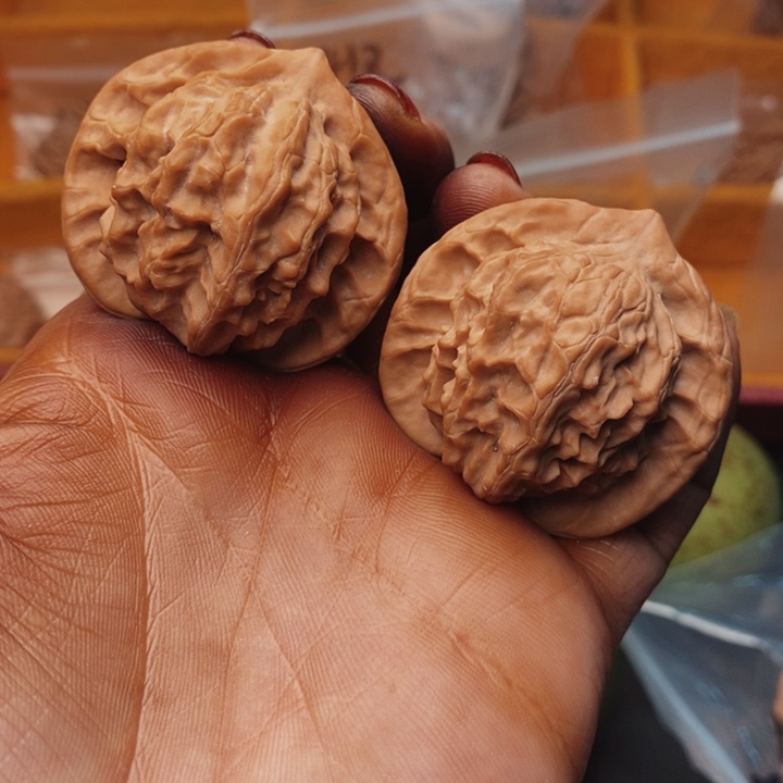 核桃手串/手链图图43尺