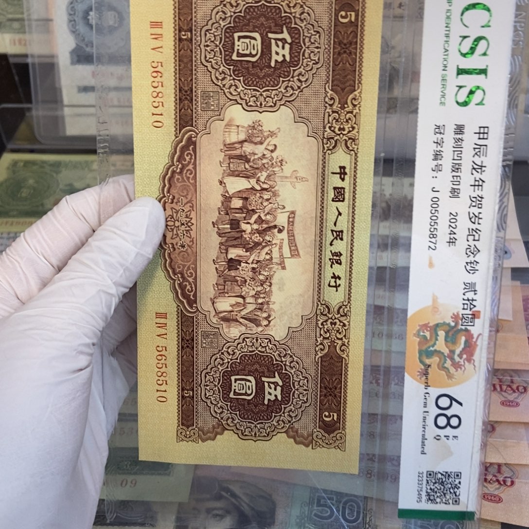 黄五510………………………………