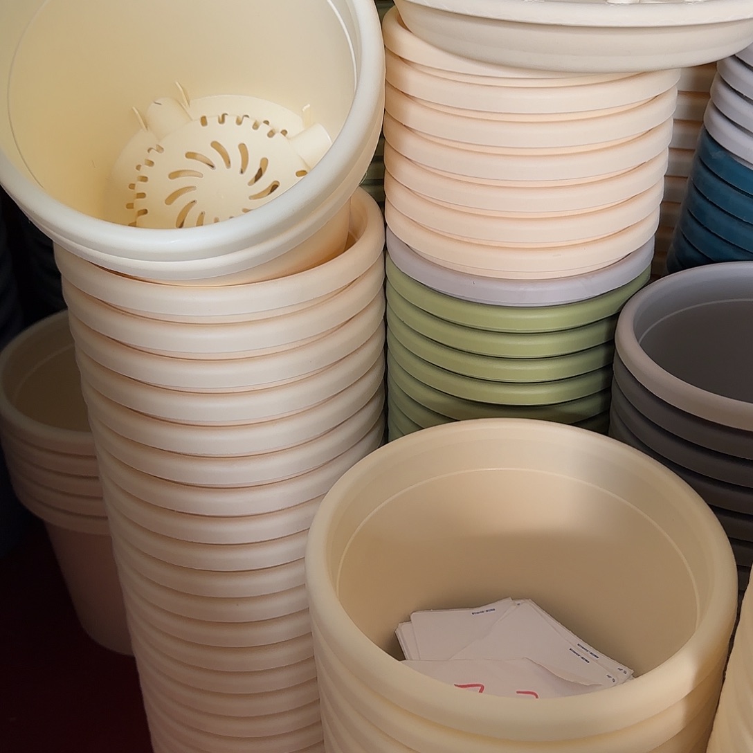 树脂四季2号无托12个微瑕