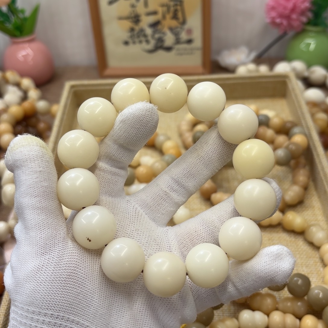 菩提根/象牙果吊坠20干磨瑕疵落地果621