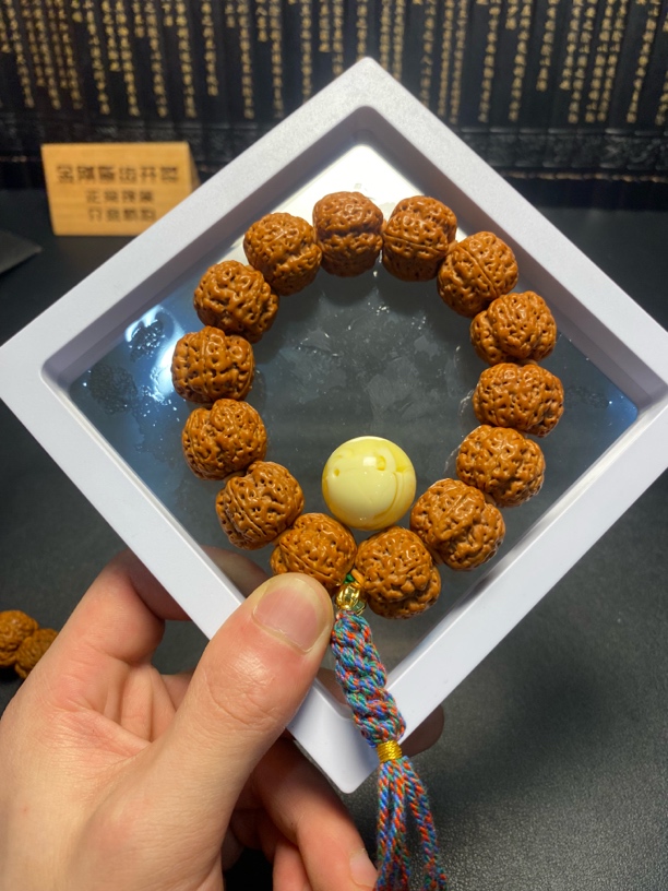 新品满肉精选梅花：5号
