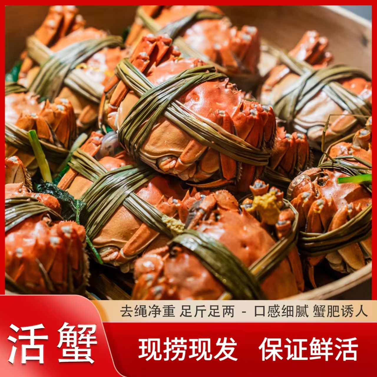 【2.5两全母蟹】10只装洪泽湖精品大闸蟹活蟹冷链包邮