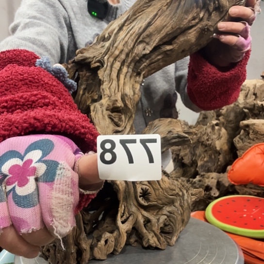 月*我也不知道我为什么要