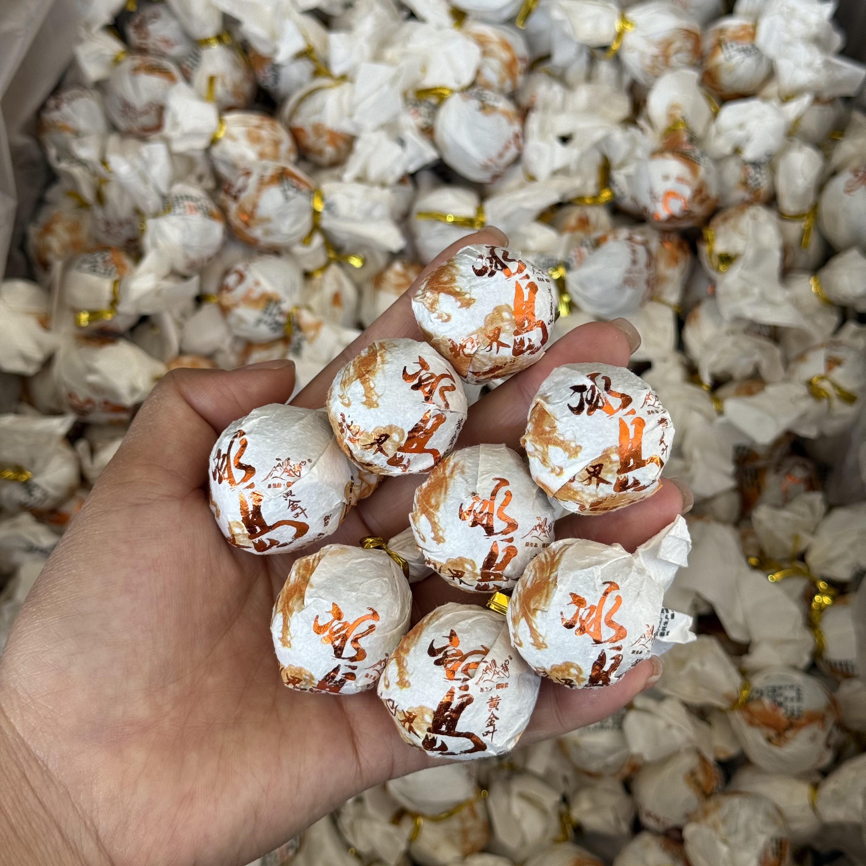 濮静【官方正品】冰岛村地界组65号古树/春茶/8克黄金叶龙珠/30颗装