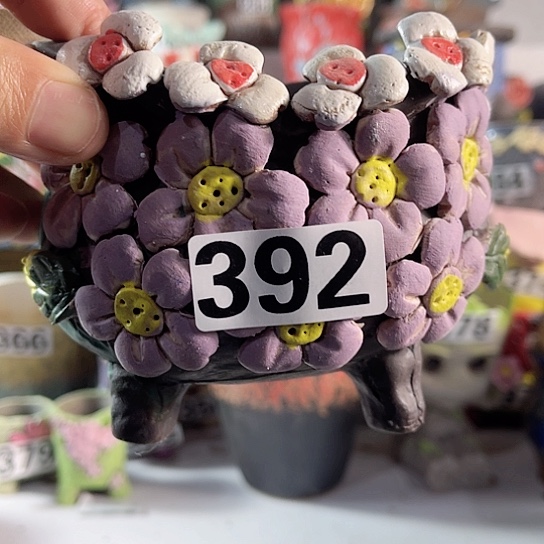 红陶多肉植物花盆