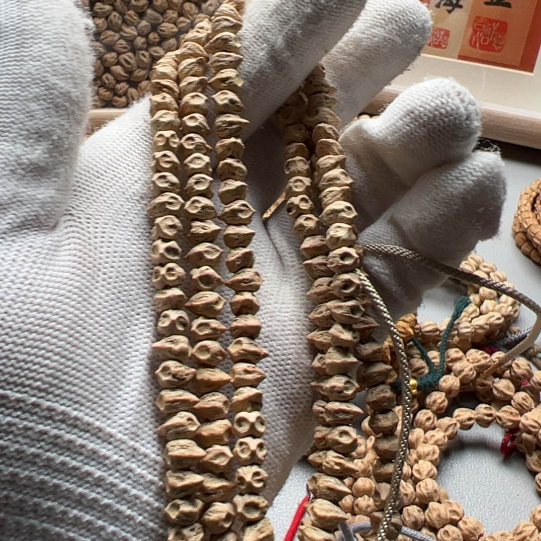 柏香籽/百香籽吊坠肚****肉