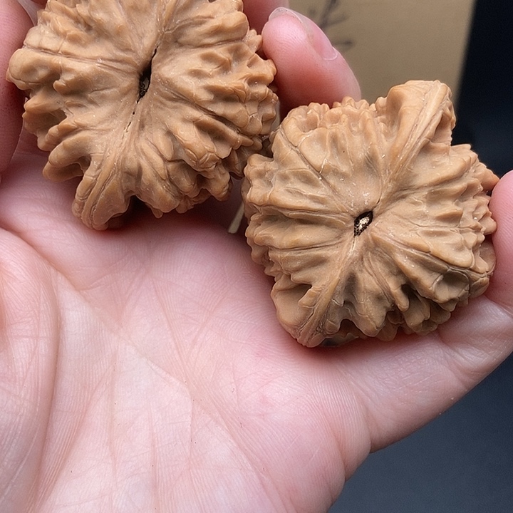 奋***煌大大大大大大官帽