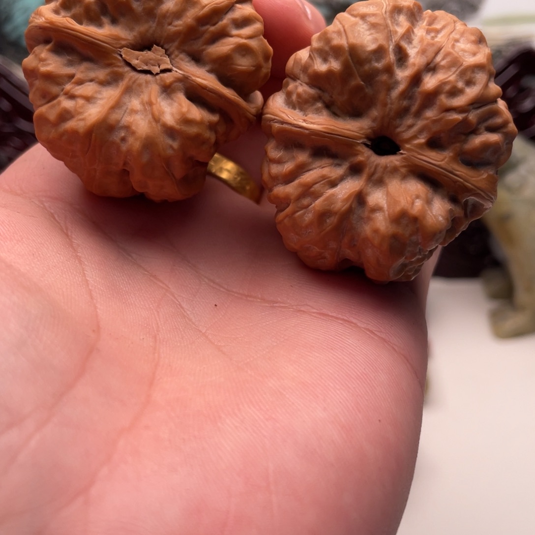 螺****核桃蛤蟆头文玩C18