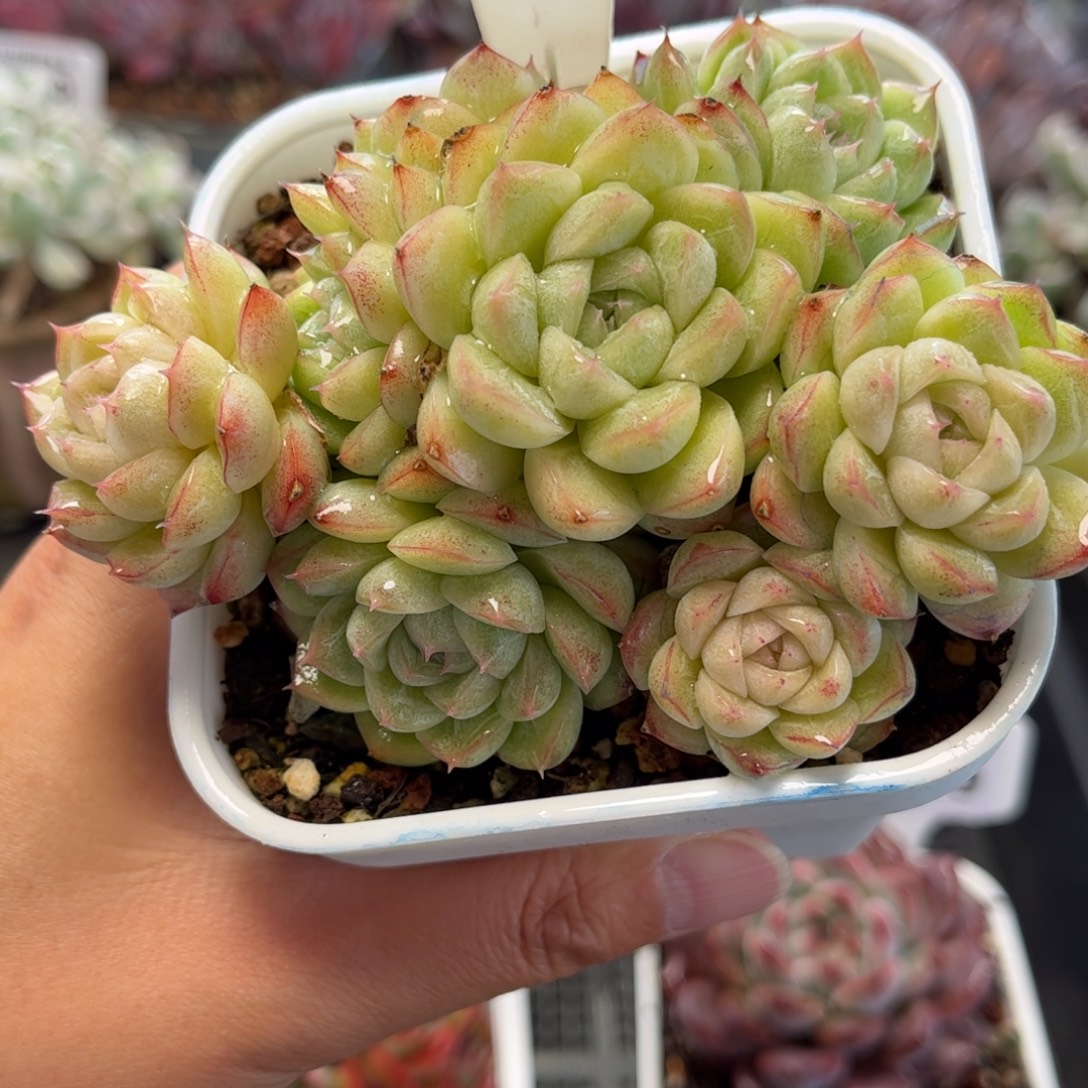 2532 满30包邮天冷地区必拍保温箱