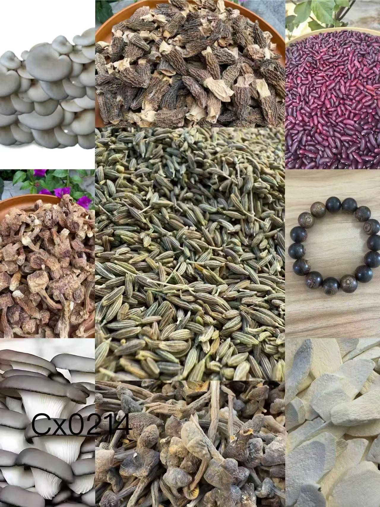 （文总专用土特产）CX0214多样性发货 重量25克左右