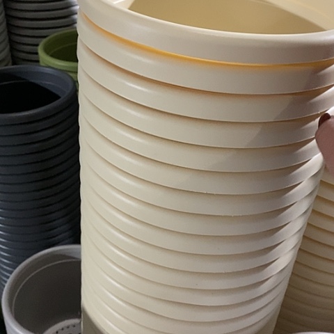 树脂四季4号10个无托米黄