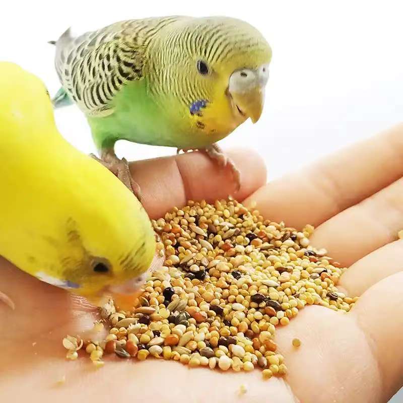 虎皮鹦鹉混合粮含亚麻籽均衡营养易消化