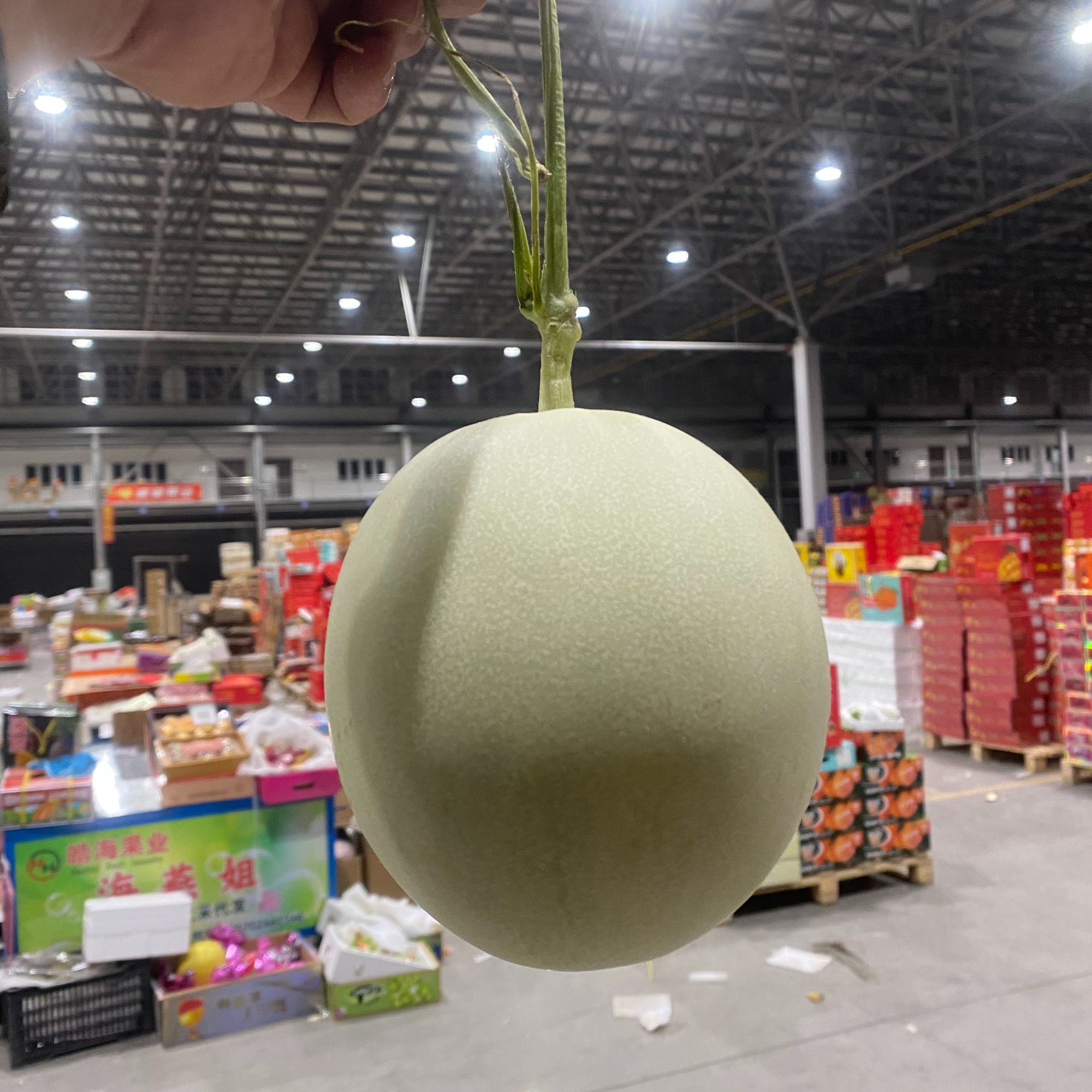 海南奶香蜜瓜软糯香甜