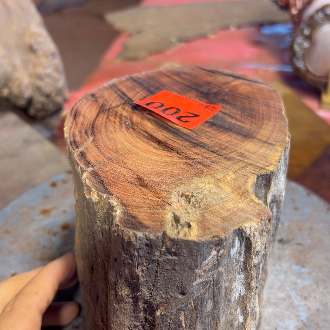 大果紫檀（缅甸花梨）