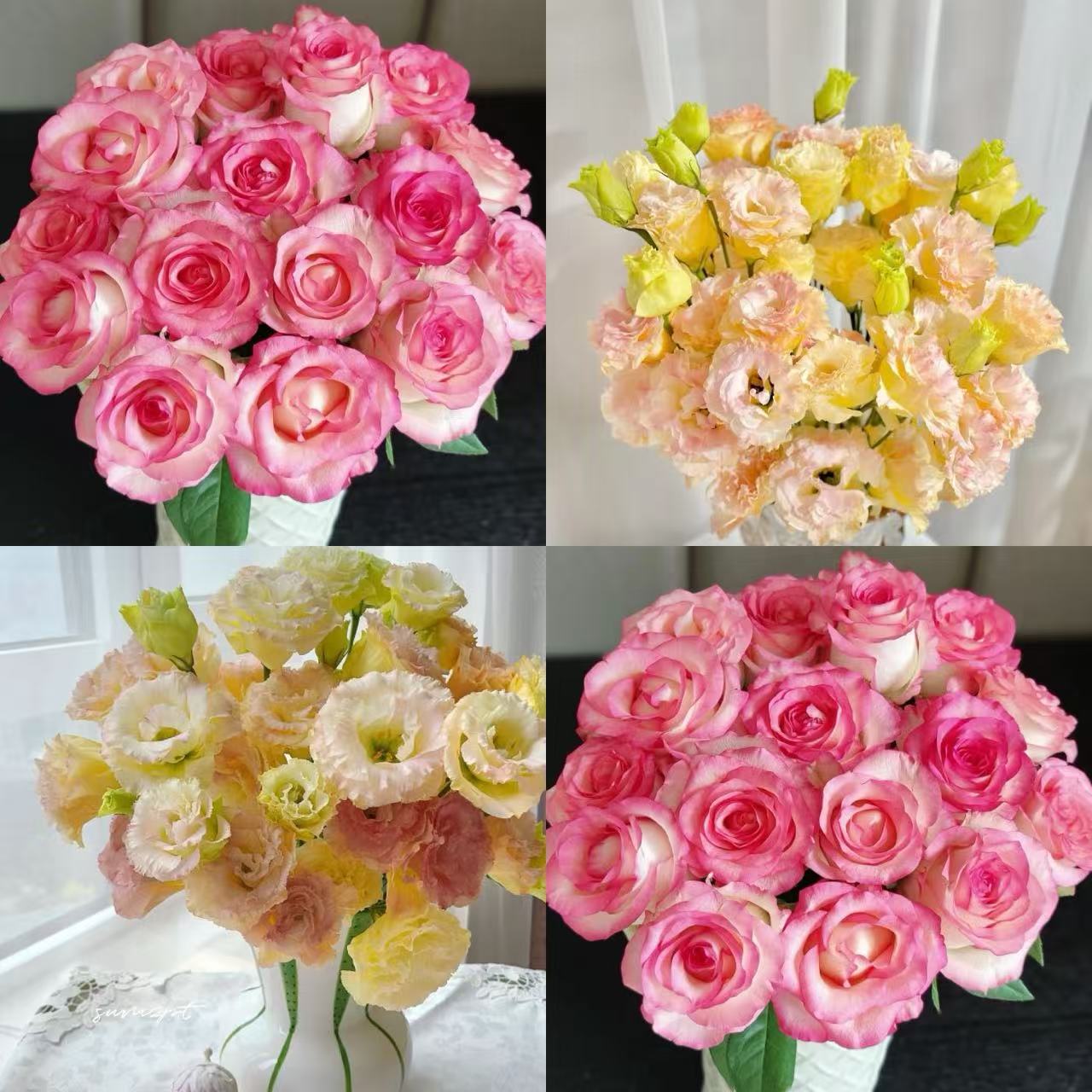 【沉沉专属】10枝艾莎+香槟洋桔梗200g  云南鲜切花