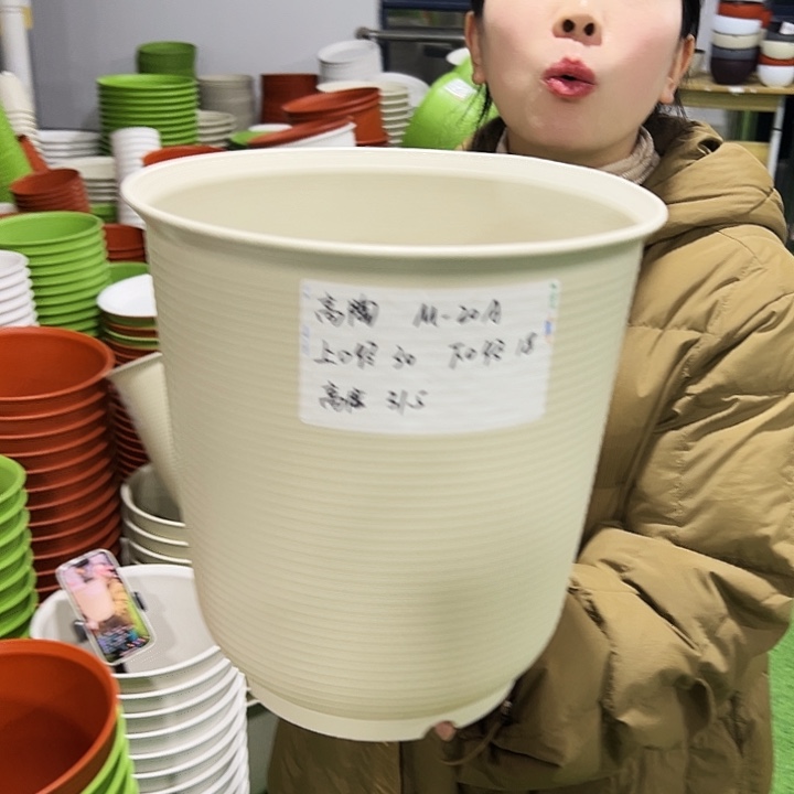 正品高陶口30高31米色3只无托