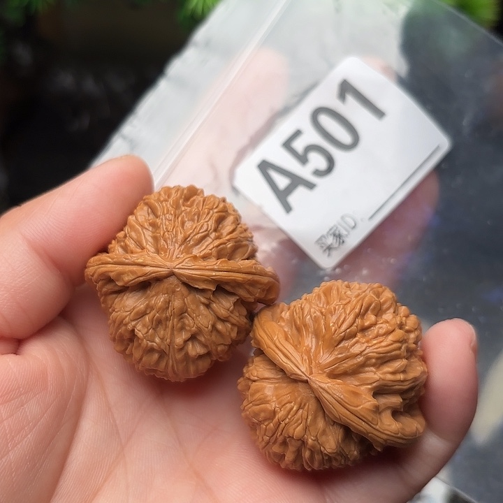 把件桃核白狮子37