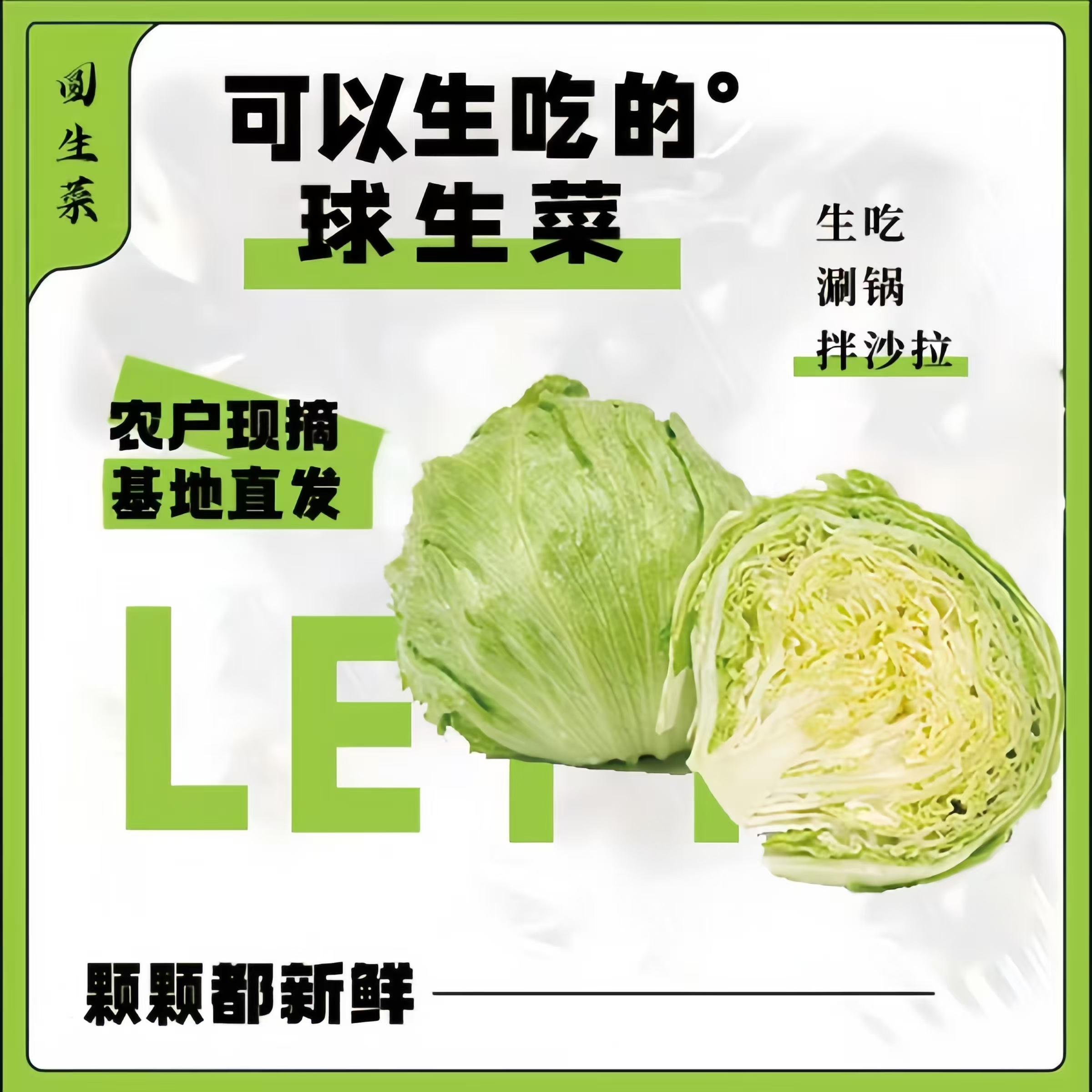 【顺风速运】生菜球新鲜沙拉蔬菜生菜球西生菜结球生菜汉堡用食材