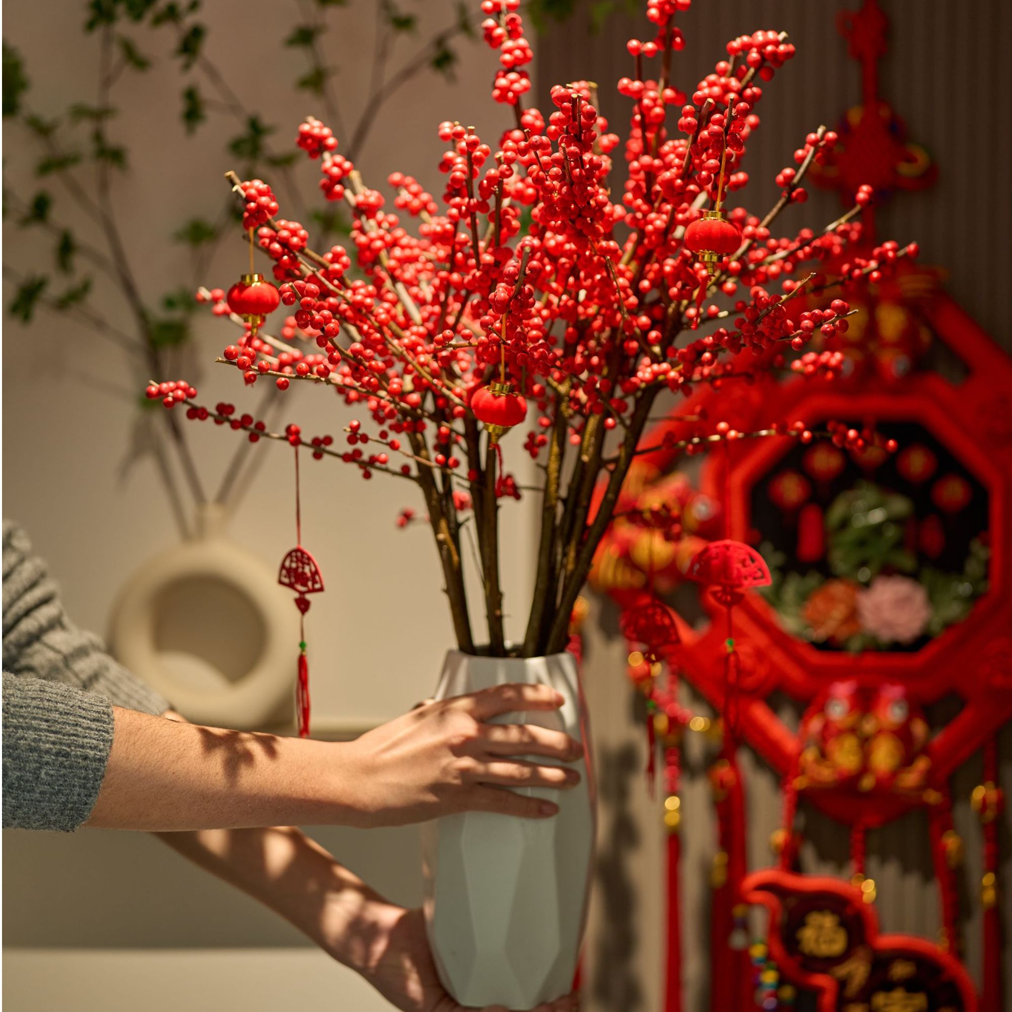 AAA级北美冬青年宵花送人装饰客厅遮丑水培鲜花桌面喜庆室内外