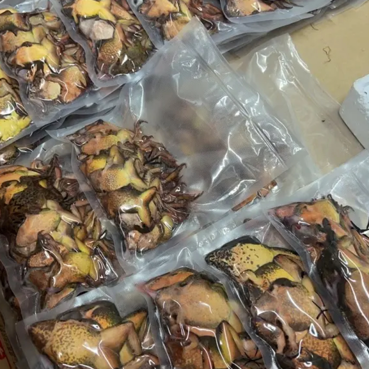 东北速冻母林蛙河鲜美味顺丰包邮