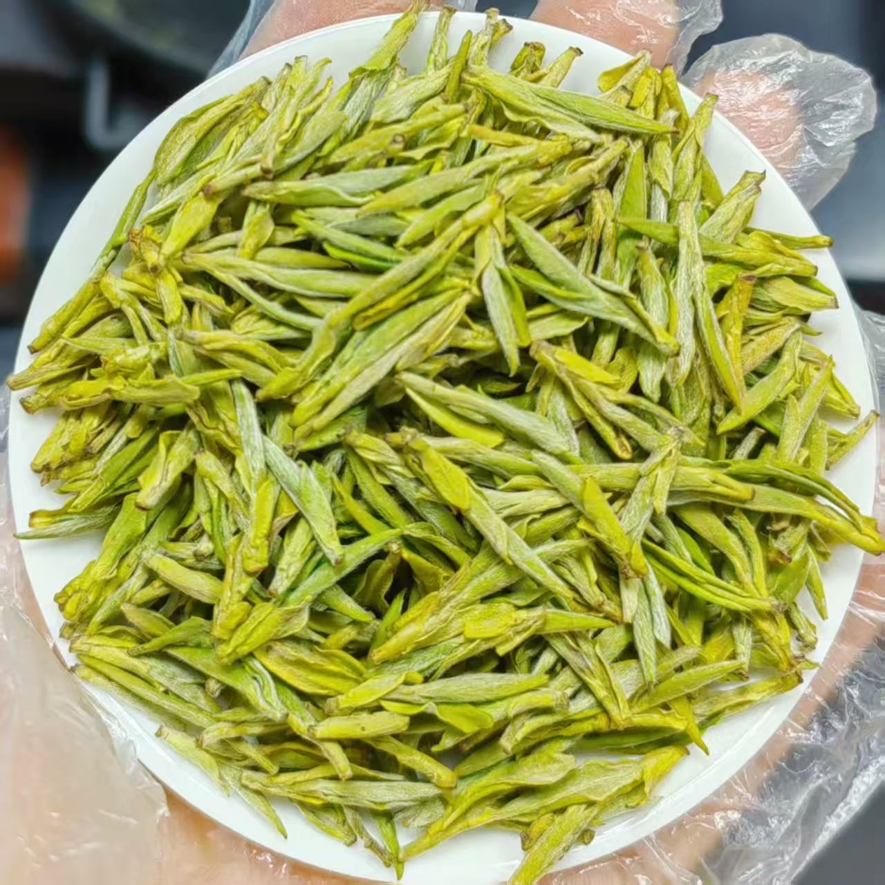 2025年A1款春茶清豆香型黄金芽绿茶 