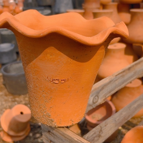 红陶口19.5高17微瑕